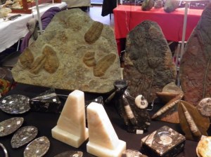 20ème Bourse exposition de minéraux, bijoux, gemmes et fossiles, trésors de la terre