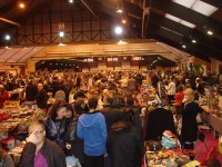 25 éme puces de noel