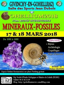 GOHELLIUM2018, 17ème Bourse Minéraux-Fossiles