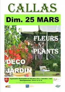 Marche aux fleurs plants deco jardin