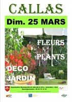 Marche aux fleurs plants deco jardin