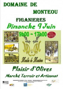 FETE OLIVE TERROIR & ARTISANAT