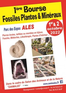 1ère BOURSE Fossiles, Plantes & Minéraux