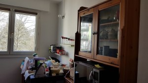 Vide-appartement Orvault (Nantes)