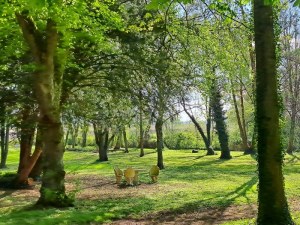 Vide-Greniers et Fête des fleurs à La Favorite