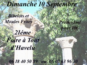 21ème Foire à Tout d'Havelu