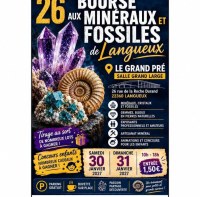 26ème Salon exposition de minéraux,  bijoux et fossiles, trésors de la terre