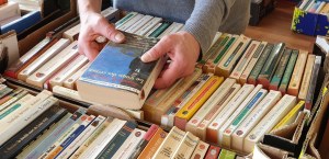 29 : Guipavas - Don de livres