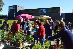 53 : Loiron-Ruillé - Inscription des exposants au vide-jardin