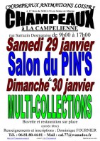 Salon MultiCollections 30/01/2022 à CHAMPEAUX (77)