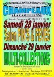 Salon MultiCollections 29/01/2023 à CHAMPEAUX (77)