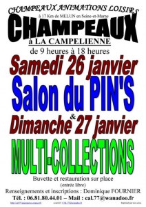 Salon MultiCollections 27/01/2019 à CHAMPEAUX (77)