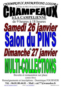 Salon du Pin's le 26/01/2019 à CHAMPEAUX (77)