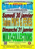 Salon du Pin’s & Fève le 30/01/2027 à CHAMPEAUX (77)