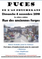 Puces de la Saint-Martin