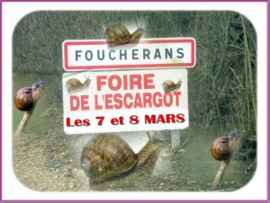 Foire et puces de l'escargot