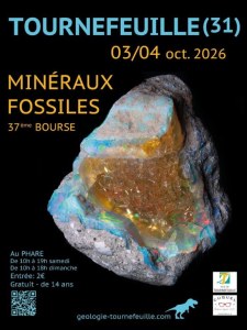 37ème Bourse aux Minéraux et Fossiles de Tournefeuille