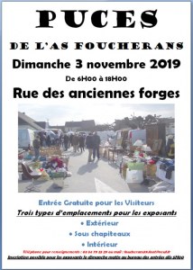 Puces de la Saint-Martin