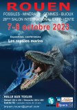 28ème Salon International de Rouen Fossiles, Minéraux, Gemmes & Bijoux