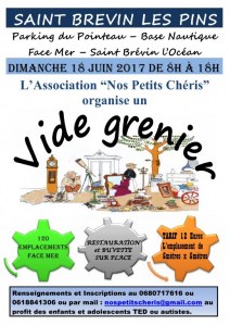 Vide Grenier de l'Estuaire