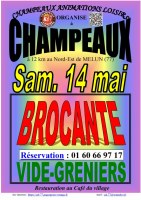 BROCANTE & VIDE-GRENIERS à CHAMPEAUX (77), le 14/05/2022
