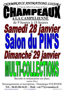Salon MultiCollections à CHAMPEAUX (77) le 29/01/2017
