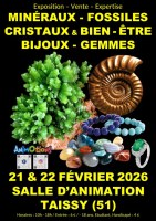 Salon Minéraux Fossiles Gemmes Météorites Cristaux & Bien-Être et Bijoux de Créateurs