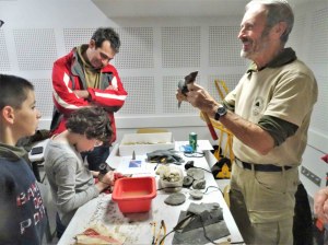 46ème bourse Miné"raux et Fossiles de Guilherand-Granges