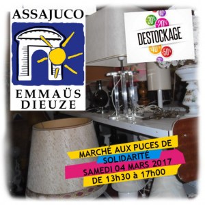 Marché aux puces de Solidarité