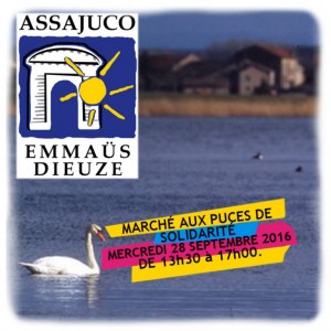 Marché aux puces de Solidarité