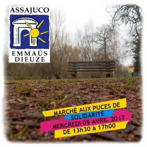 Marché aux puces de Solidarité