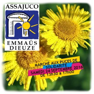 Marché aux puces de Solidarité