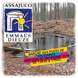 Marché aux puces de Solidarité