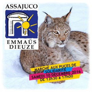 Marché aux puces de Solidarité