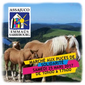 Marché aux puces de Solidarité