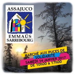 Marché aux puces de Solidarité