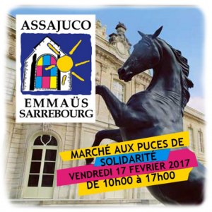 Marché aux puces de Solidarité