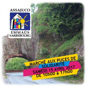 Marché aux puces de Solidarité