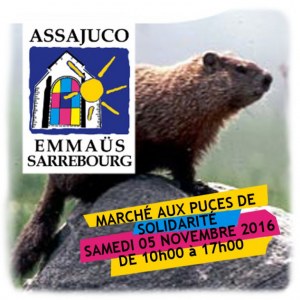 Marché aux puces de Solidarité