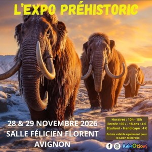 Salon Minéraux Fossiles Cristaux & Bien-Être Gemmes et Bijoux d’Avignon + L’Expo Préhis...