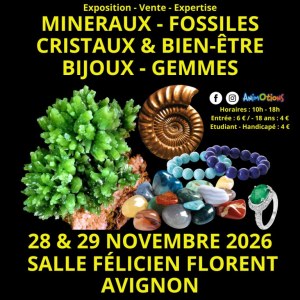 Salon Minéraux Fossiles Cristaux & Bien-Être Gemmes et Bijoux d’Avignon + L’Expo Préhis...