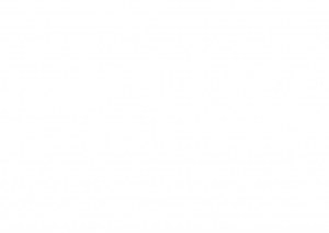 TROC ET PUCES Ecoles des 2 rivières