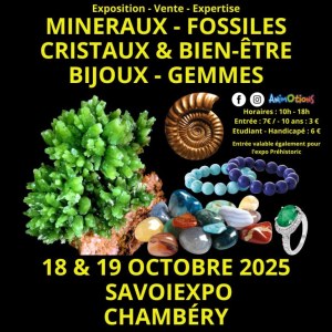6ème Salon Minéraux Fossiles Cristaux & Bien-Être Bijoux et Gemmes + Exposition sur la...