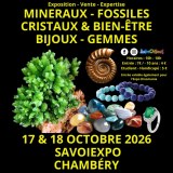 7ème Salon Minéraux Fossiles Cristaux & Bien-Être Bijoux et Gemmes  + Exposition Dinomania