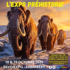 6ème Salon Minéraux Fossiles Cristaux & Bien-Être Bijoux et Gemmes + Exposition sur la...