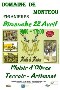 Plaisir d olive