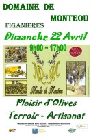 Plaisir d olive
