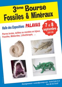 3 ème Bourse aux Minéraux, Fossiles et Lithothérapie de PALAVAS les Flots