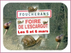 Foire et puces de l'escargot