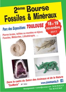 2ème Bourse Fossiles & Minéraux de Toulouse